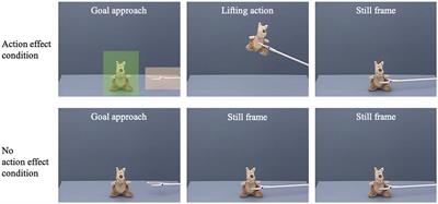 The Impact of Action Effects on Infants’ Predictive Gaze Shifts for a Non-Human Grasping Action at 7, 11, and 18 Months